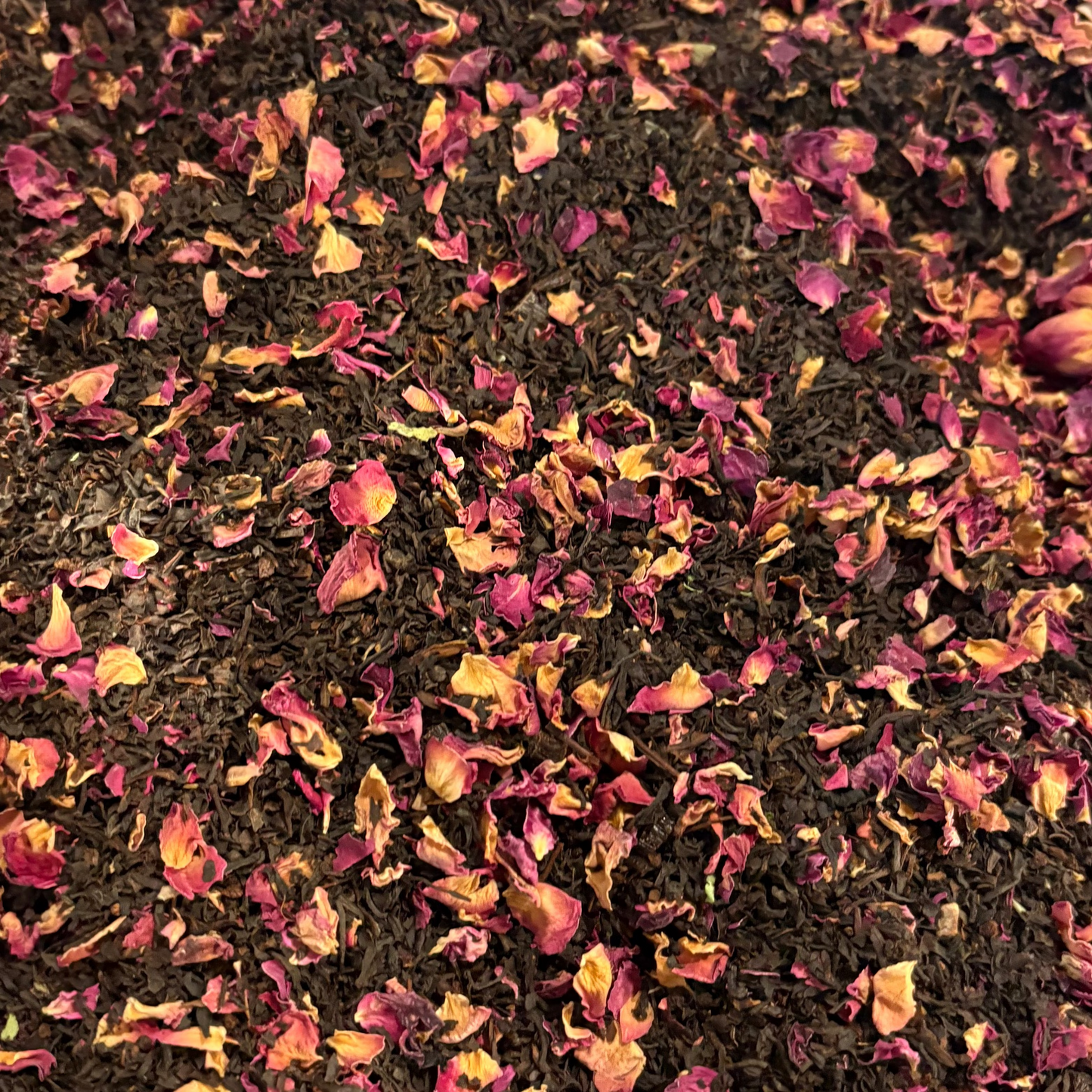 The Ton: Bookish Blend