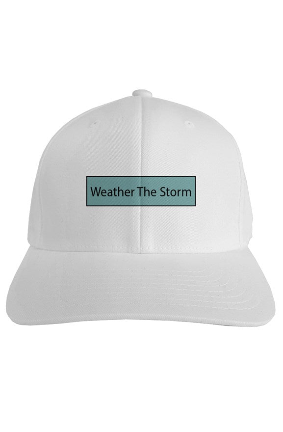Fitted Weather The Storm Logo Cap