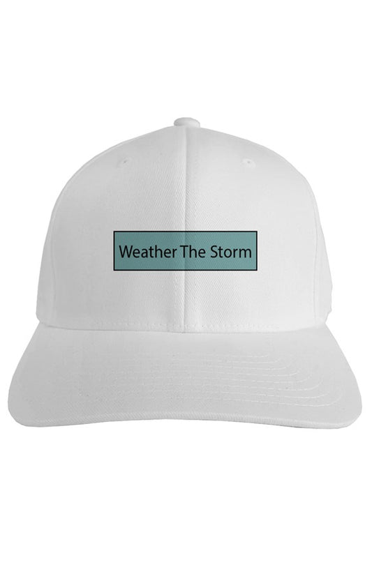 Fitted Weather The Storm Logo Cap